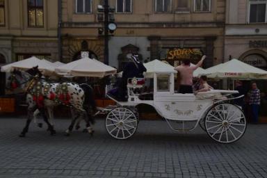 «Разделись догола и ездили в такси»: обнаженные туристы эпатировали Краков
