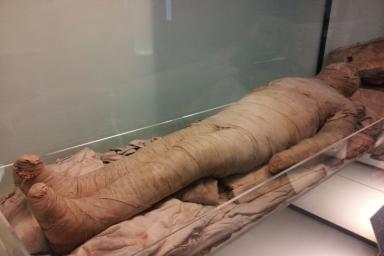 Ученые обнаружили наличие сердечно-сосудистых заболеваний у 4000-летних мумий