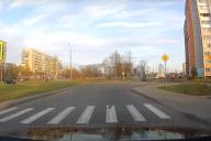 Забавные кадры: в Могилеве заметили голубя-пешехода, соблюдающего ПДД