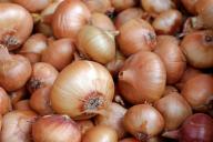 Диетолог назвала самый полезный овощ