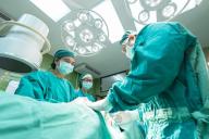 Специалисты изучили процесс трансплантации костного мозга