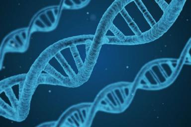 Ученые узнали, что гены помнят прошлые обиды