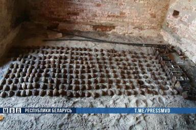 В Брестской крепости рабочие во время раскопок нашли более 270 гранат