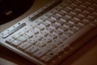 В Гродно девушка оплатила покупки в интернете карточками соседей по квартире