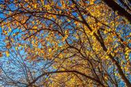 Погода на 23 октября 2019 года. Белорусов предупредили о «сюрпризах» 