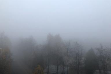 Погода на 24 октября по Беларуси: желтый уровень опасности
