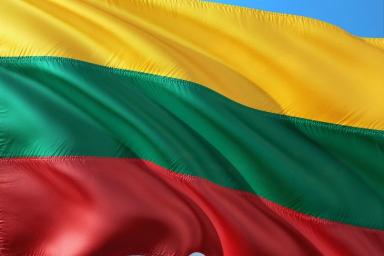Минобороны Литвы: суверенитету Беларуси ничего не угрожает с Запада