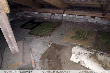 В Кормянском районе парень хранил на чердаке крупную партию наркотиков