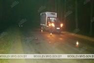 В Кировском районе под колёса «ГАЗели» попала женщина-пешеход, которая 18 раз нарушала ПДД