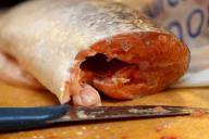 Белорусская рыба «доплывет» до Китая: рынок открыли для семи компаний