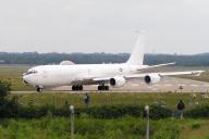 «Самолет Судного дня» опустила на землю птица