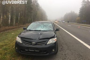 Смертельная авария на трассе М1 под Барановичами: пострадавшая умерла в машине скорой