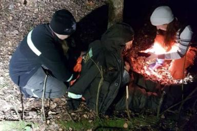 Волонтеры «Ангела» ночью нашли в лесу под Минском пропавшую 81-летнюю пенсионерку