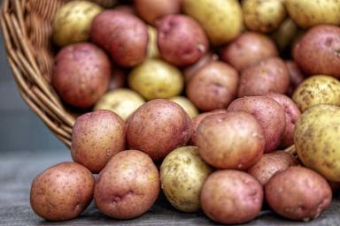 Специалисты назвали полезные и вредные свойства картофеля