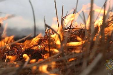 В Столинском районе женщина пыталась потушить горящую траву и попала в больницу с ожогами