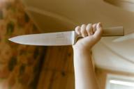 Стало известно, какое наказание грозит 12-летнему школьнику, который расчленил свою мать