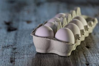 В России начинают продавать яйца с дополненной реальностью