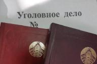 В Беларуси вместо воспитательных колоний для подростков создадут центры