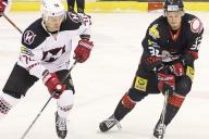 Хоккей. ЧБ. Битва регионов: в Гомеле «рыси» сразились с «Неманом» 