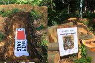 В Нидерландах студентам предложили полежать в могиле: в чем суть