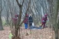 Могилевчане нашли в лесу пенсионера с инсультом. Мужчина умер в больнице