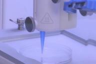 Ученые впервые напечатали кожу с сосудами