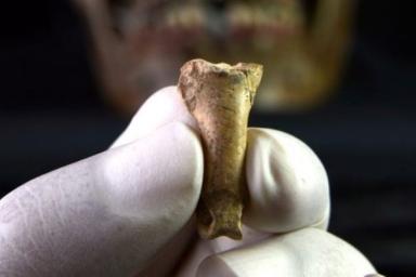 В Испании обнаружили ожерелье, созданное неандертальцами