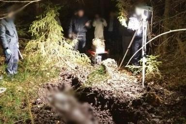 В Докшицком районе сын убил отца, а труп закопал в лесу