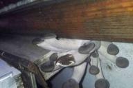 Пассажиров удивила находка в украинском поезде: такого еще не было