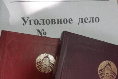 В Гродно две девушки вынесли товара на 660 рублей