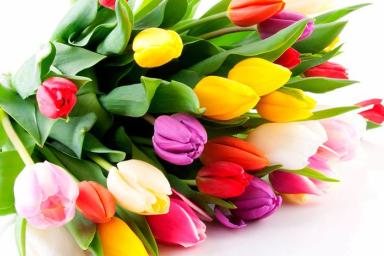 ТОП-5 подарков на 8 Марта: чем порадовать любимых женщин