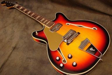 Все разнообразие акустических гитар