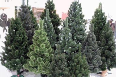 Достоинства искусственных новогодних елей