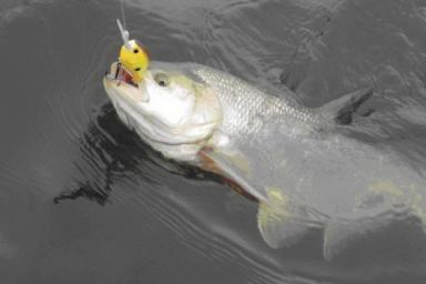 Как выбрать блесну. Обзор основных ее типов