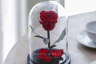 Сказочная магия розы в колбе