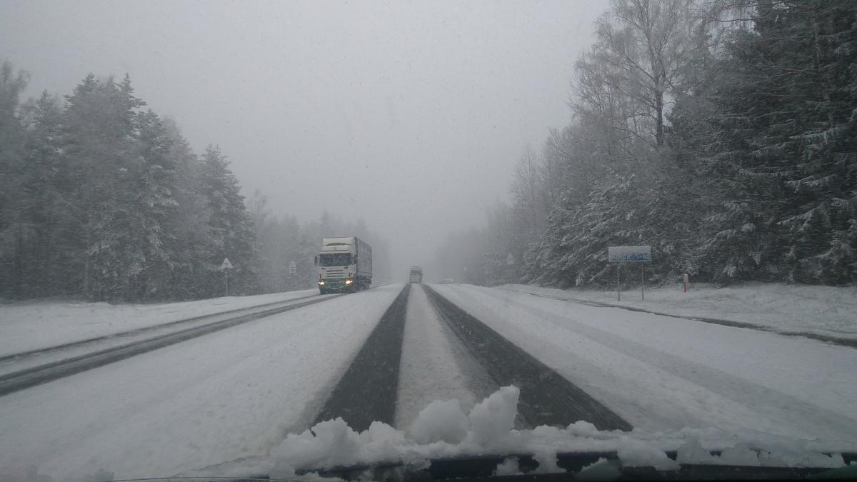 Фотофакт: на Первомай в Логойском районе выпал снег